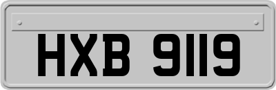 HXB9119