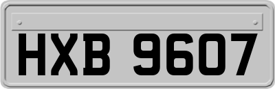 HXB9607