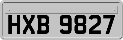 HXB9827