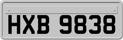 HXB9838
