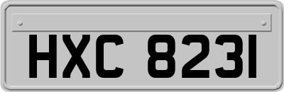 HXC8231