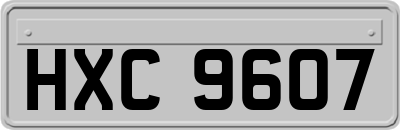 HXC9607