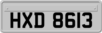 HXD8613