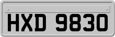 HXD9830