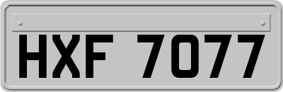 HXF7077