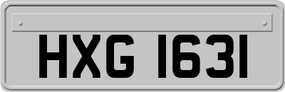 HXG1631