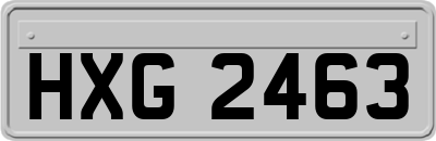 HXG2463