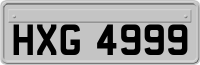 HXG4999