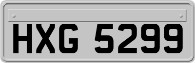 HXG5299