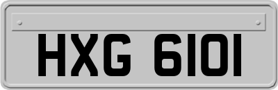 HXG6101