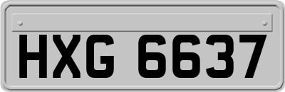 HXG6637
