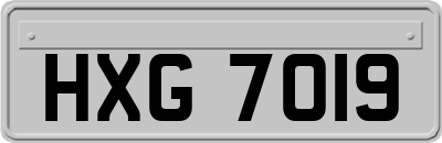 HXG7019