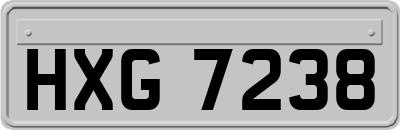 HXG7238