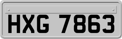 HXG7863