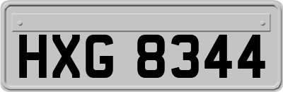 HXG8344