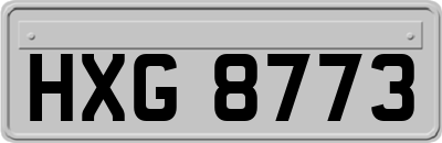 HXG8773