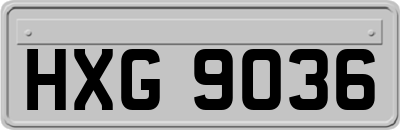 HXG9036