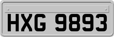 HXG9893