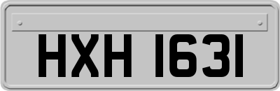 HXH1631