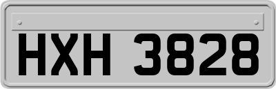 HXH3828
