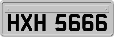 HXH5666