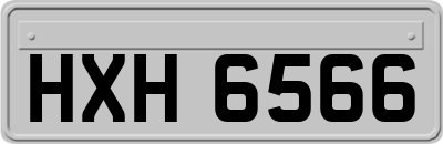 HXH6566