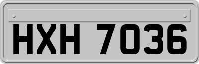 HXH7036