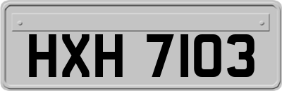 HXH7103