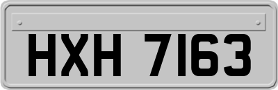 HXH7163