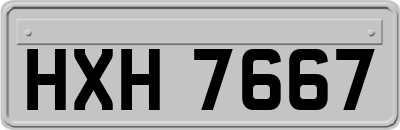 HXH7667