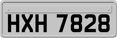 HXH7828
