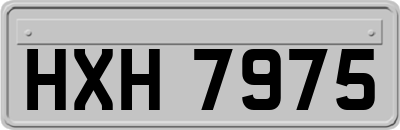 HXH7975