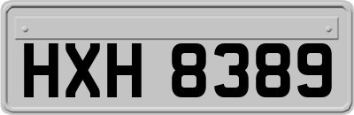 HXH8389