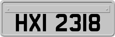 HXI2318