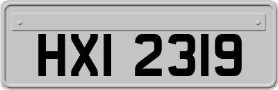 HXI2319