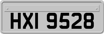 HXI9528