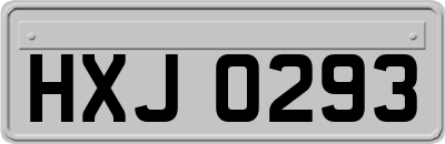 HXJ0293