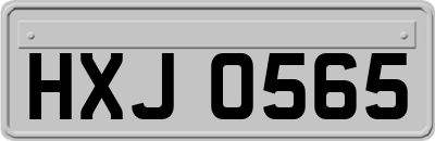 HXJ0565