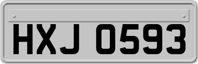 HXJ0593