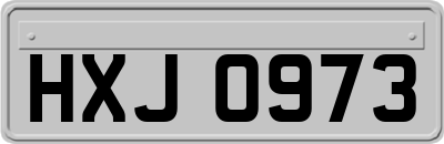 HXJ0973