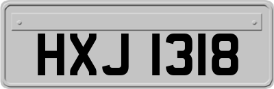 HXJ1318