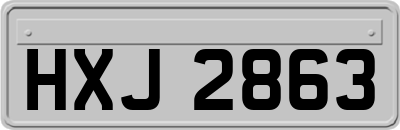 HXJ2863