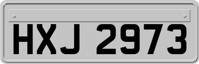 HXJ2973