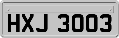HXJ3003