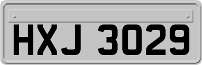 HXJ3029