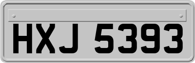 HXJ5393