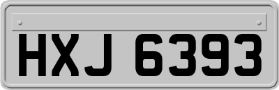 HXJ6393