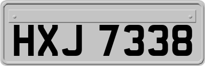HXJ7338