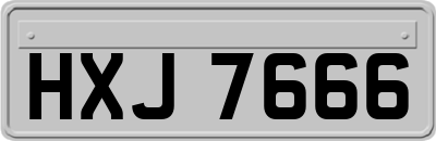 HXJ7666