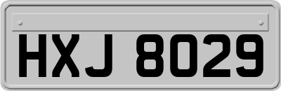 HXJ8029